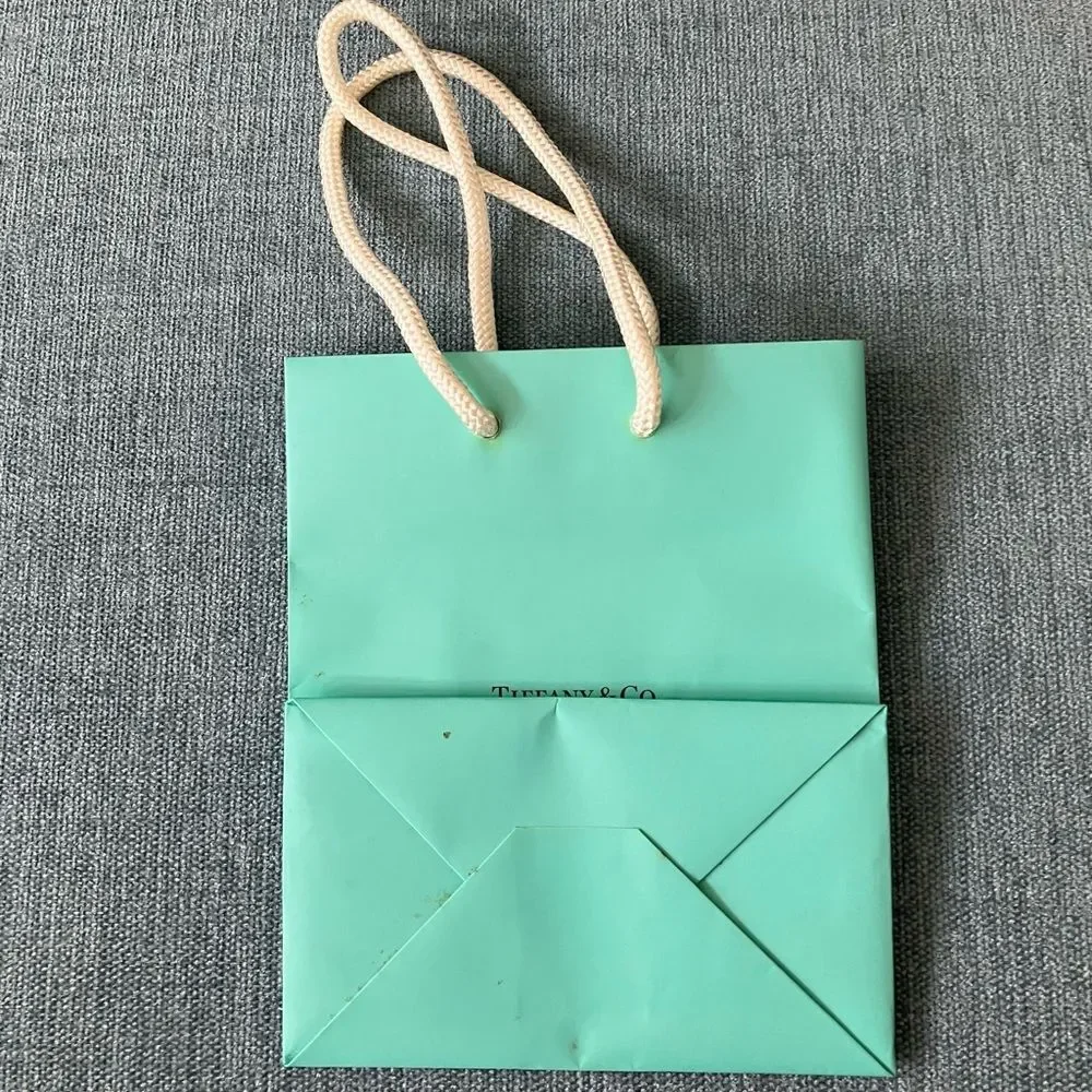 Tiffany & Co. Shopping Gift Bag